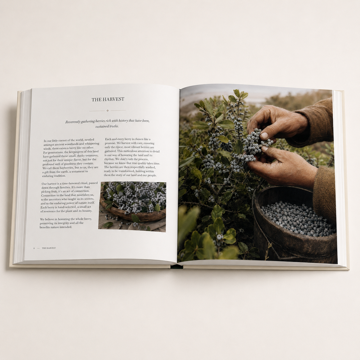 Burned To The Socket: America's Bayberry Tradition